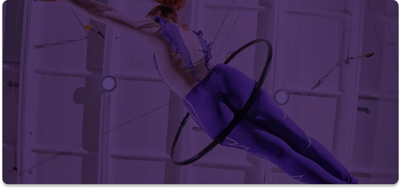 Gandeys Snowstorm Wish